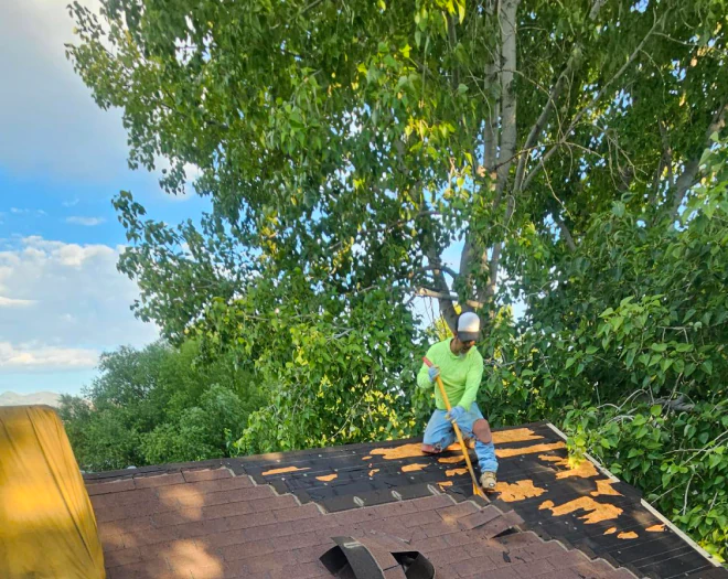 ongoing asphalt roofing shingle service